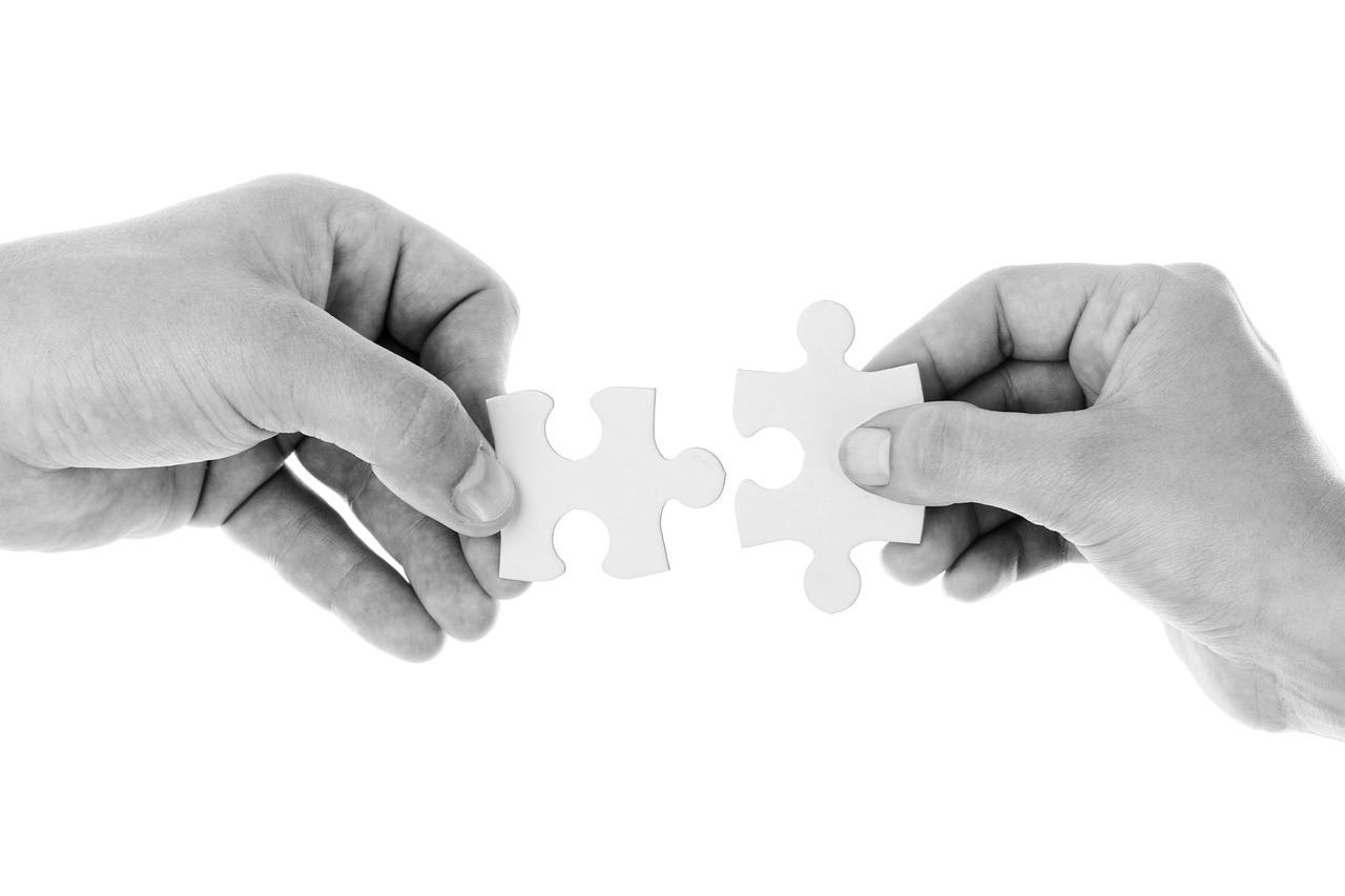 Ensemble puzzle